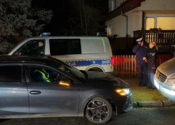 Zabójstwo 12-latki. W sprawę zamieszana jej koleżanka z klasy.